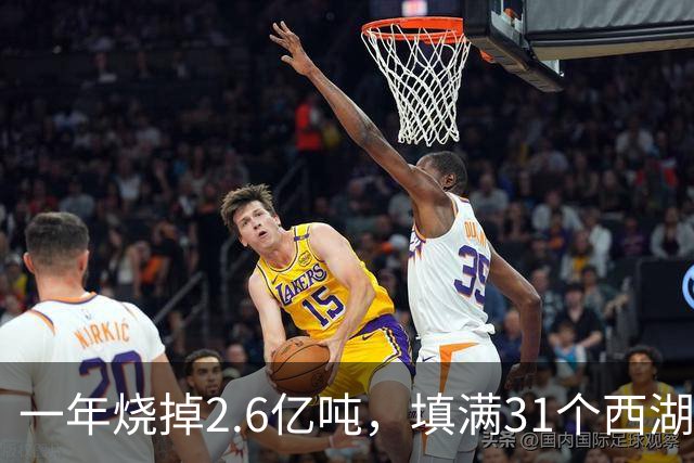 一年烧掉2.6亿吨，填满31个西湖！中国的垃圾，不够烧了？