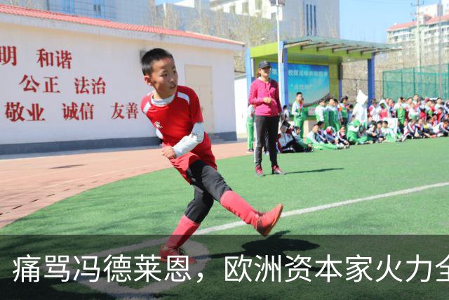 痛骂冯德莱恩，欧洲资本家火力全开：欧洲议会里全是蠢人