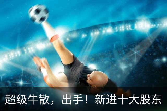 超级牛散，出手！新进十大股东